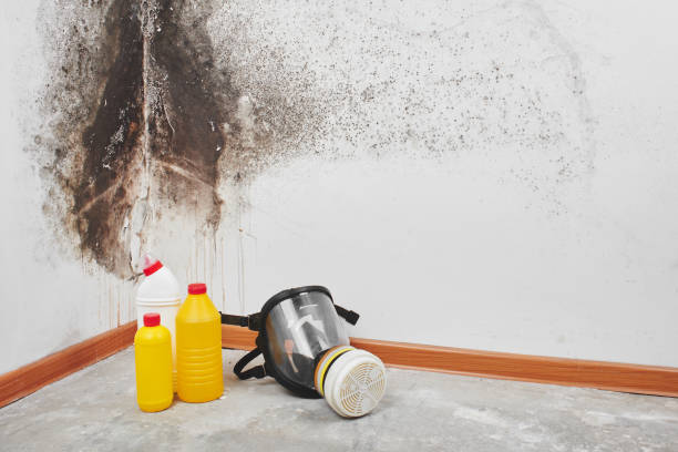 Best Water Damage Restoration  in Vaville, CA