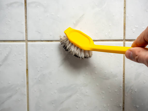 Attic Mold Removal in Vacaville, CA