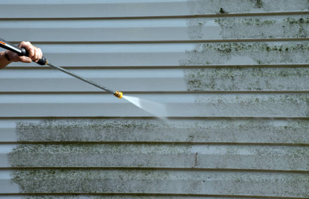 Best Office Mold Removal Services  in Vaville, CA